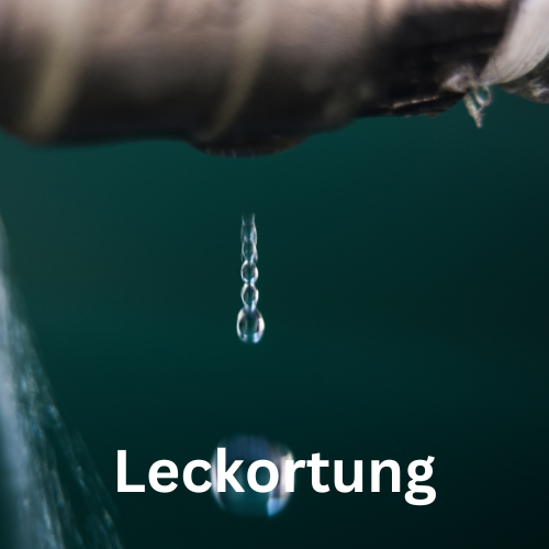 Leckortung  - link